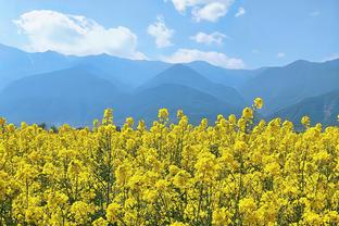 跟玩似的！约基奇第三节拿下16分7板4助 三节取26分14板10助三双